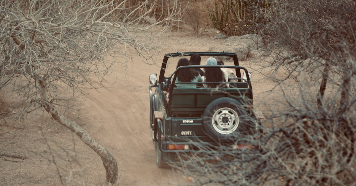 Group on a Jeep safari through arid forest trails, exploring nature.